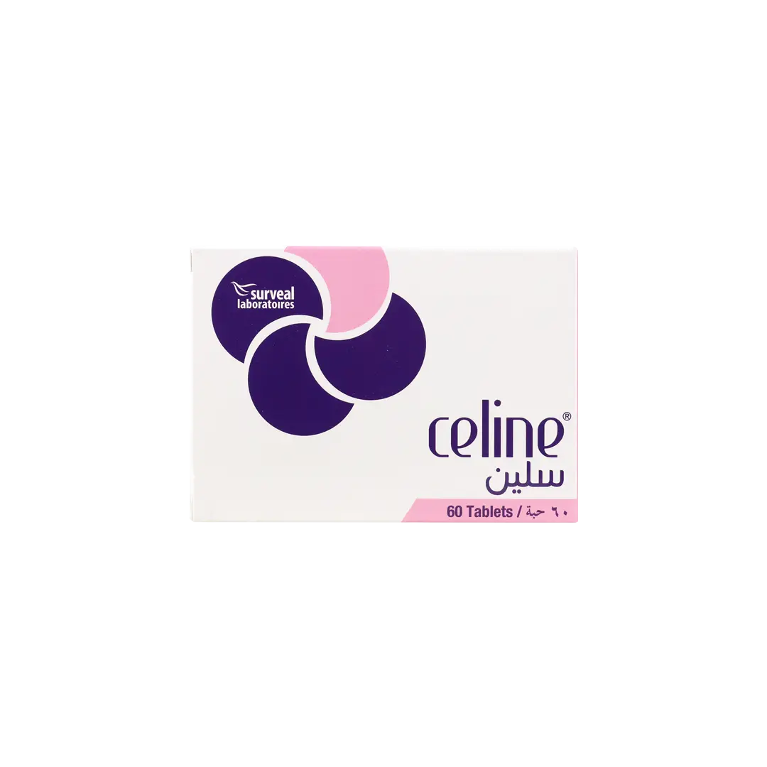 Celine Tablet 60'S