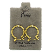 EARRS POSTED WIRE HOOP