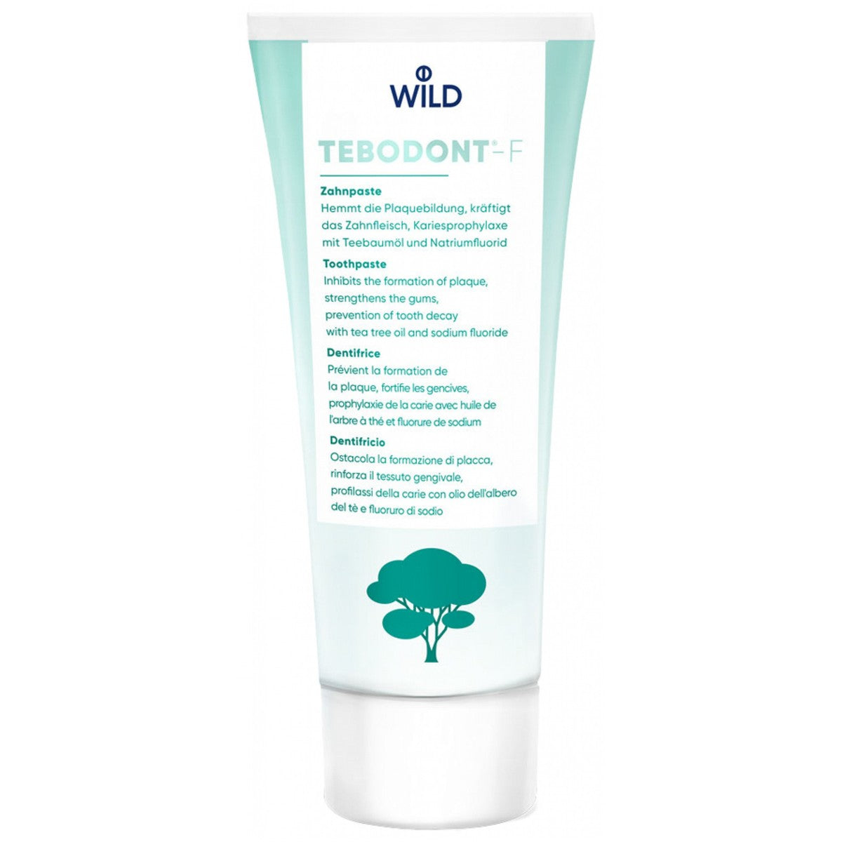 Tebodont F Toothpaste 75Ml